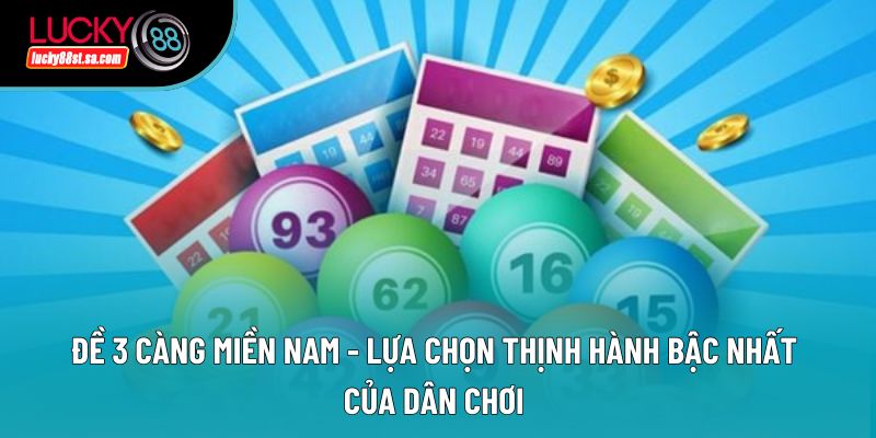 Đề 3 Càng Miền Nam - Lựa Chọn Thịnh Hành Bậc Nhất Của Dân Chơi