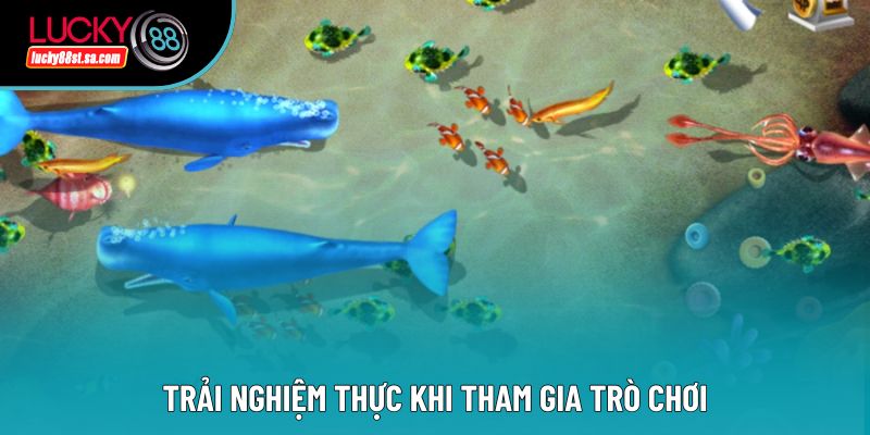 Trải nghiệm thực khi tham gia trò chơi Trải nghiệm thực khi tham gia trò chơi